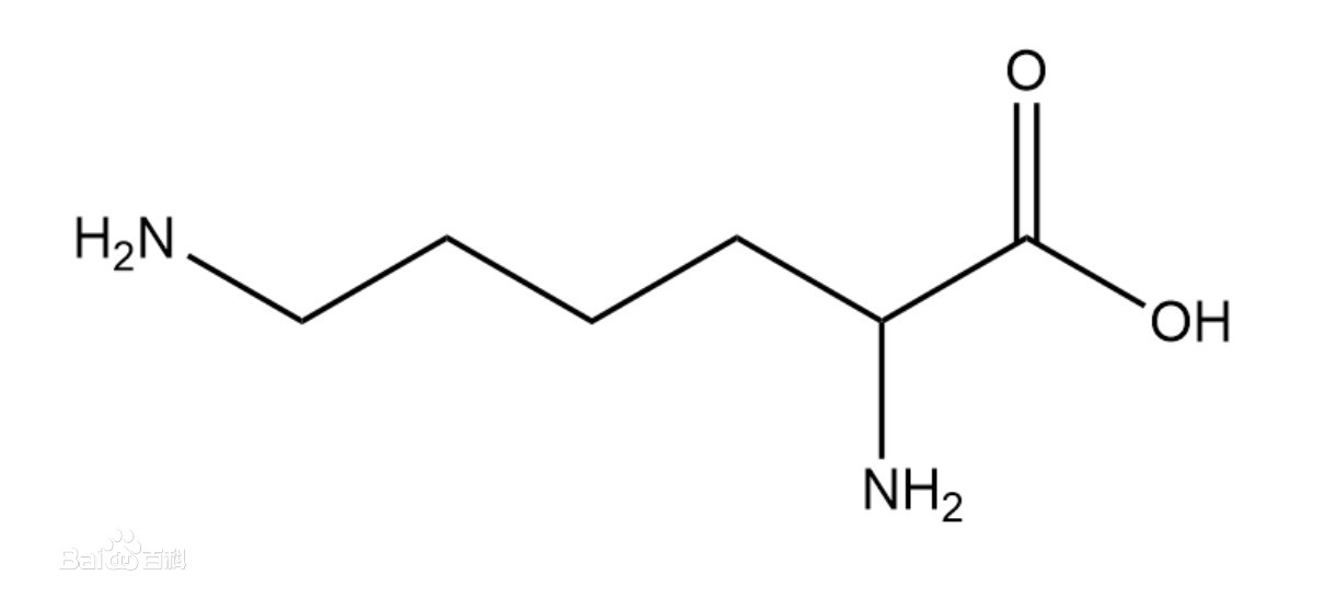 L-Lysine